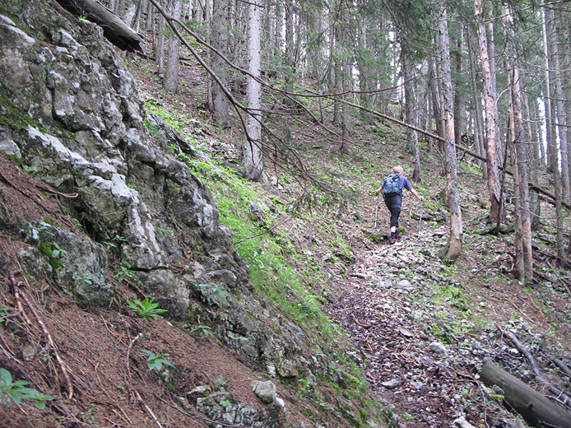 fronbachkogel